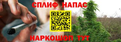 дмт Кимры